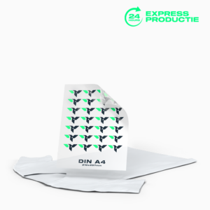DTF Transfer Express DIN A4 210 x 297 mm